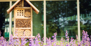 WINDHAGER Insektenhotel