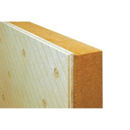 UdiRECO Holzfaserdämmelement UdiDÄMMSYSTEME Putzträgerplatte Mit flexibler Ausgleichsschicht für unebene Untergründe – diffusionsoffen, wärmedämmend und feuchtigkeitsregulierend
