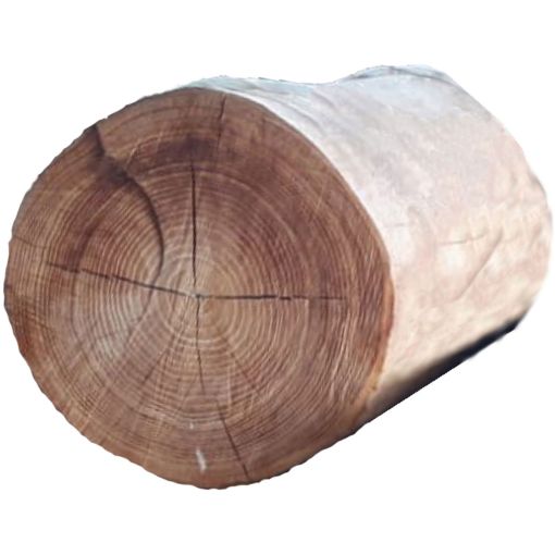 T&J Baumstammbank/Baumstumpf/Sitz- oder Spielpoller ROBINIE 2