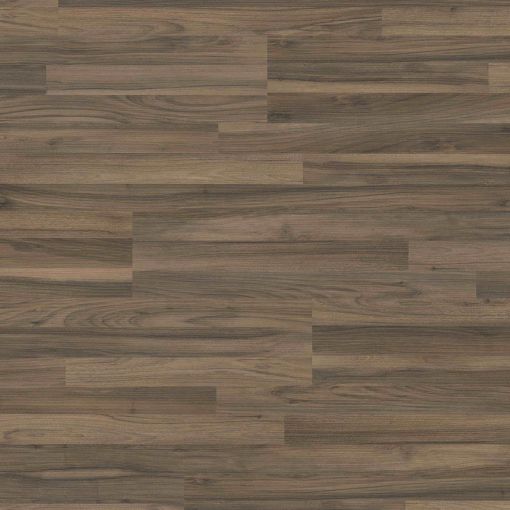 HARO Laminat Sonderedition NKL31 TC 2