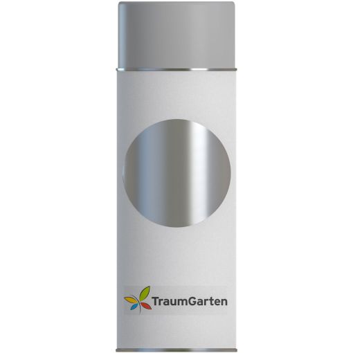 TraumGarten Spraydose Rhombus Silber 2