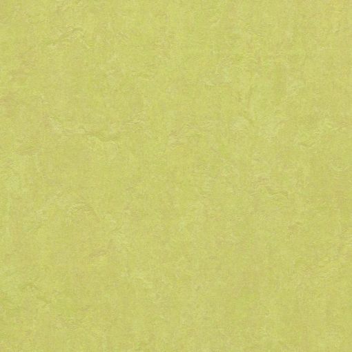 forbo Linoleum Marmoleum Click spring 2