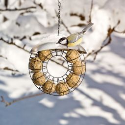 Windhager Meisenknödelhalter FRIENDS mit Dach, 3