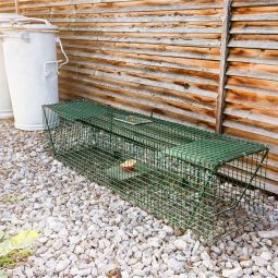 Windhager Kleintier-/Waschbär-Falle Lebendfalle 3