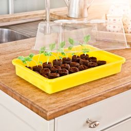 Windhager Aussaat-Schale Anzuchtschale 3