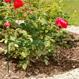 Windhager Staudenstütze Pflanzenstütze 3