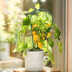 Windhager Bogenspalier Rankhilfe 44x19 cm 4