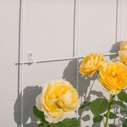 Windhager Wandbefestigung für Gitterspalier weiß, 4