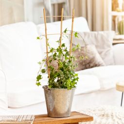 Windhager Bambus-Rankgitter Rankhilfe 3