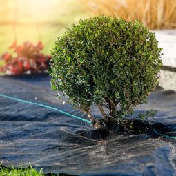 Windhager Unterboden-Gewebe 100 g/m² 4