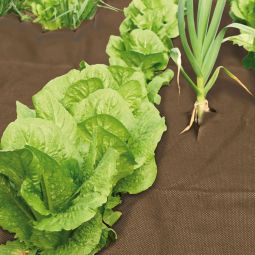 Windhager Unkrautvlies PREMIUM 10x0,9 m 6