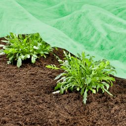 Windhager Garten-Vlies SUPERGROW 20 g/m² 4