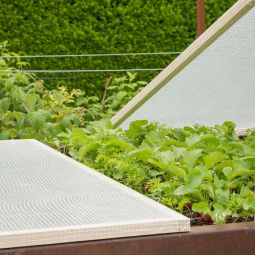 Windhager Gitter-Folie Gewächshausfolie 6x2 m, 6