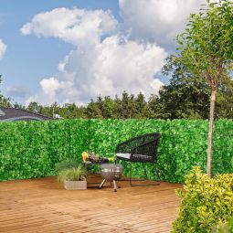 Windhager Sichtschutzhecke Labrusca 6