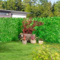 Windhager Sichtschutzhecke Labrusca 4