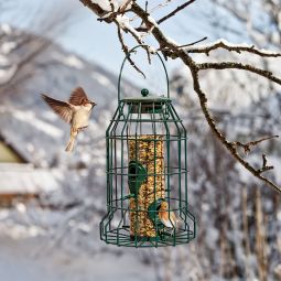 Windhager Vogelfuttersilo Protector Futterhaus Futterstation 3