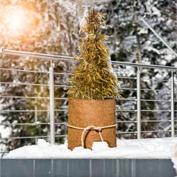 Windhager Kokos-Filzmatte 1x1,5 m 4