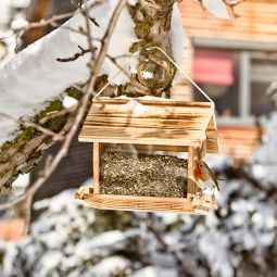 Windhager Vogelfutterhaus Grossvenediger Futterstation 3