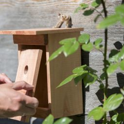 Windhager Nistkasten Birdy Vogelhaus Brutkasten 3