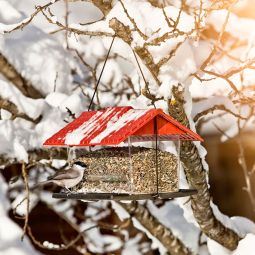 Windhager Vogelfutterhaus Ranch Futtersilo Futterstation 3