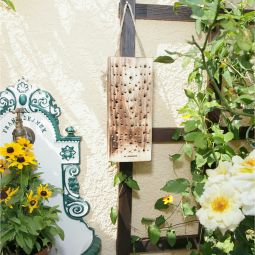 Windhager Wildbienennistholz 4