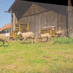 Windhager Maschengewebe weiß Kunststoff 1x3 4