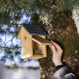 Windhager Nistkasten Cosy 4