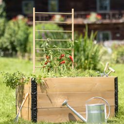 Windhager Holz-Rankhilfe Leiter 3