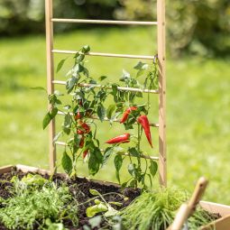 Windhager Holz-Rankhilfe Leiter 7