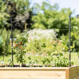 Windhager Edelstahlseil-Rankhilfe 3