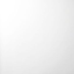 Roto Sichtschutzrollo Weiß 1-R01 3