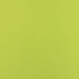 Roto Verdunklungsrollo Apfelgrün 2-V25 3