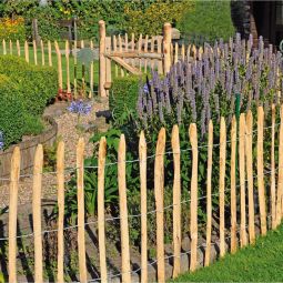 T&J ROLLO-Lattenzaun Staketenzaun Haselnuss 3