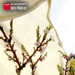 NOOR Winterschutzhaube XL PRO 180x120 5