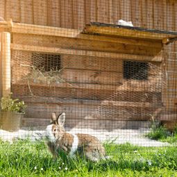 Windhager Drahtgitter Volierendraht kunststoffummantelt grün 4