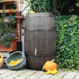 Rewatec Arves Regentonne Burgund dunkelbraun 3