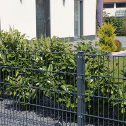 Doppelstabmattenzaun zum Einbetonieren Rundum-sorglos-Paket Anthrazit 4