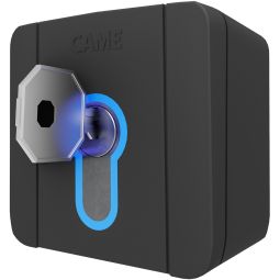 TraumGarten Schlüssel-Schalter für Doppeltorantrieb 3