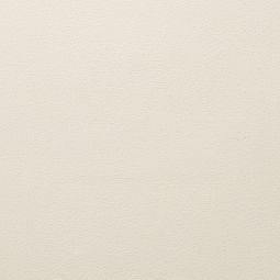 ClayTec Grundierung DIE WEISSE 3