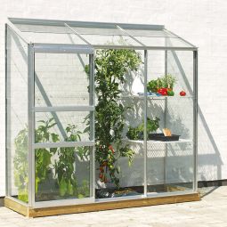 Vitavia Anlehngewächshaus Styx Tomatenhaus Silber 5