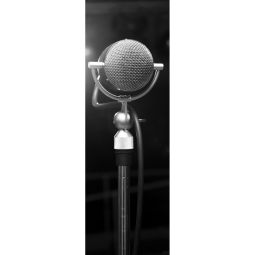 Ximax Raumheizkörper Design Heizkörper P1 5