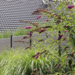 TraumGarten Gartenzaun SYSTEM Rhombus anthrazit 11