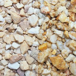 Zierkies Taunuskies 4