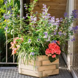 TraumGarten Kunststoffeinsatz für sechseckigen Pflanzkübel 3