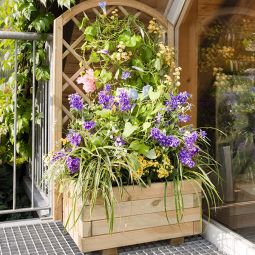 TraumGarten Pflanzkübel CORA Nadelholz viereckig 4