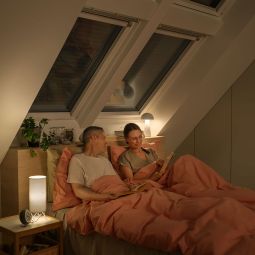 NEU: VELUX Elektro-Rollladen SML 0100K 6