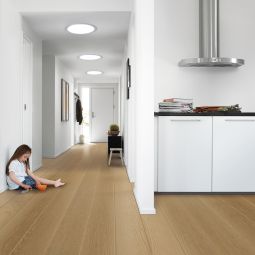 VELUX Tageslicht-Spot TCR 60x60cm mit 3