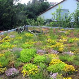 ZinCo Dachbegrünung Garagenpaket Komplett-Set 8