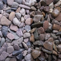 Zierkies Weserkies 3