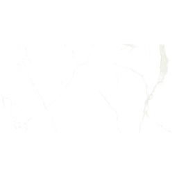 Wellker Fliesen Xalapa Gold glasiert glänzend rektifiziert 60x120 cm Stärke 9 mm